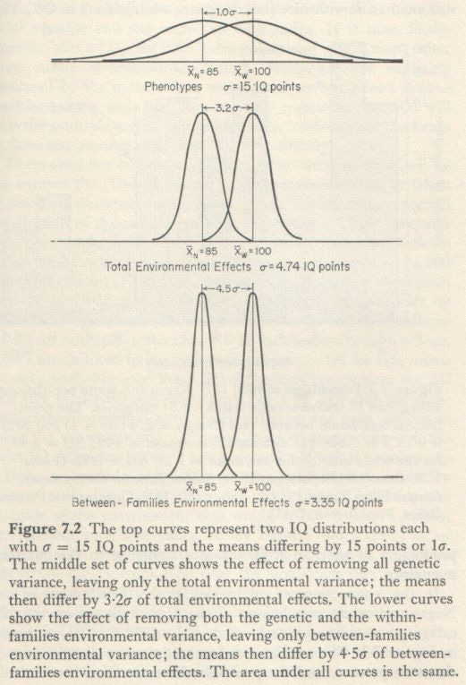 Educability and Group Differences Jensen 1973 p. 167