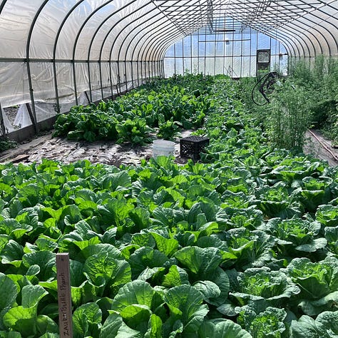 Providence Capitol Building Urban Edge Farm Gleaning Volunteers in a Circle Greenhouse Canoe by a Pond Volunteers Working the Crops