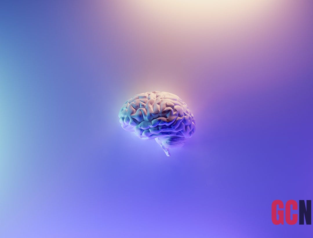 Brain, brain Brain, brain