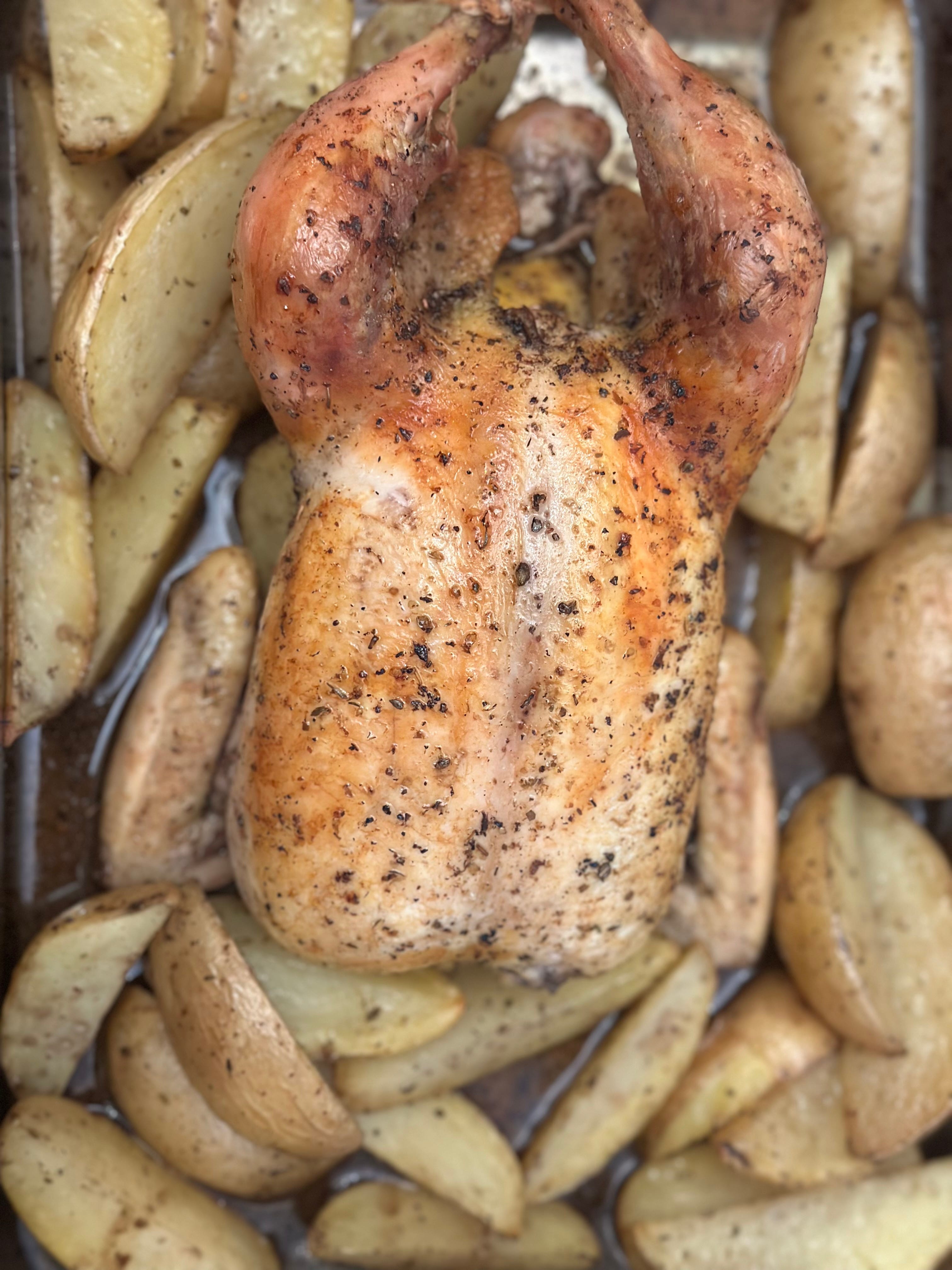 Bad Chicken Happens. - by Sarah Fain - Chickening Out