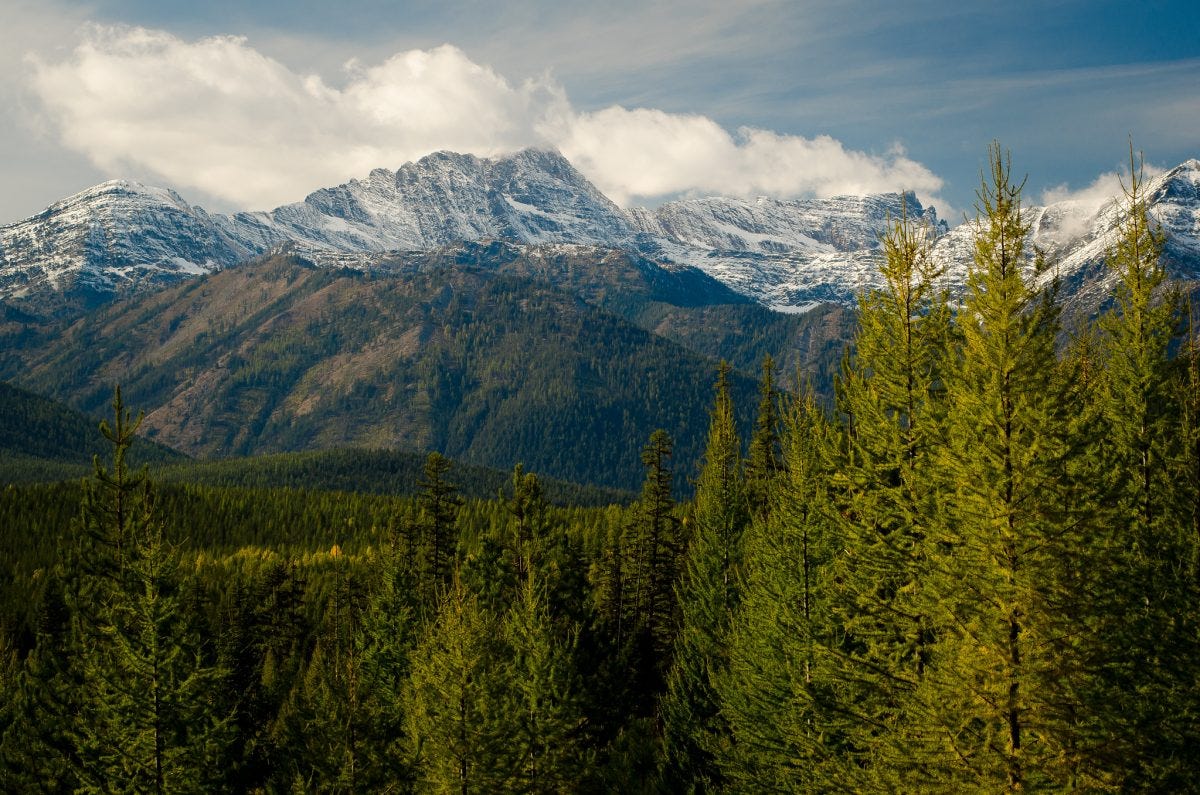 Cabinet Mountains Wilderness Montana