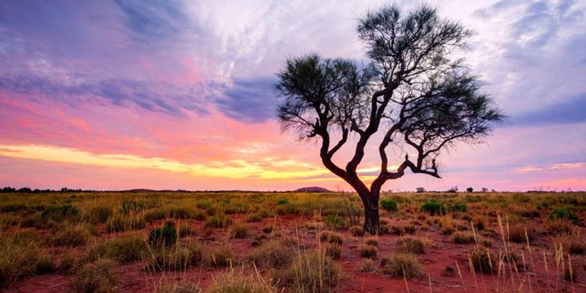 The Outback: A wild legacy in need of protection