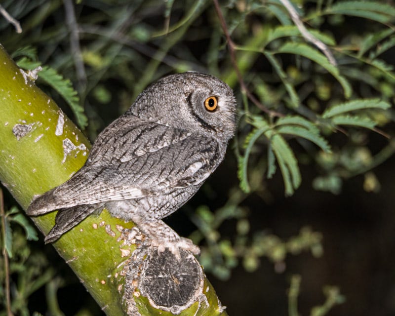 20260406-Sweetwater-Edit.jpg 20260406-Sweetwater-Edit.jpg