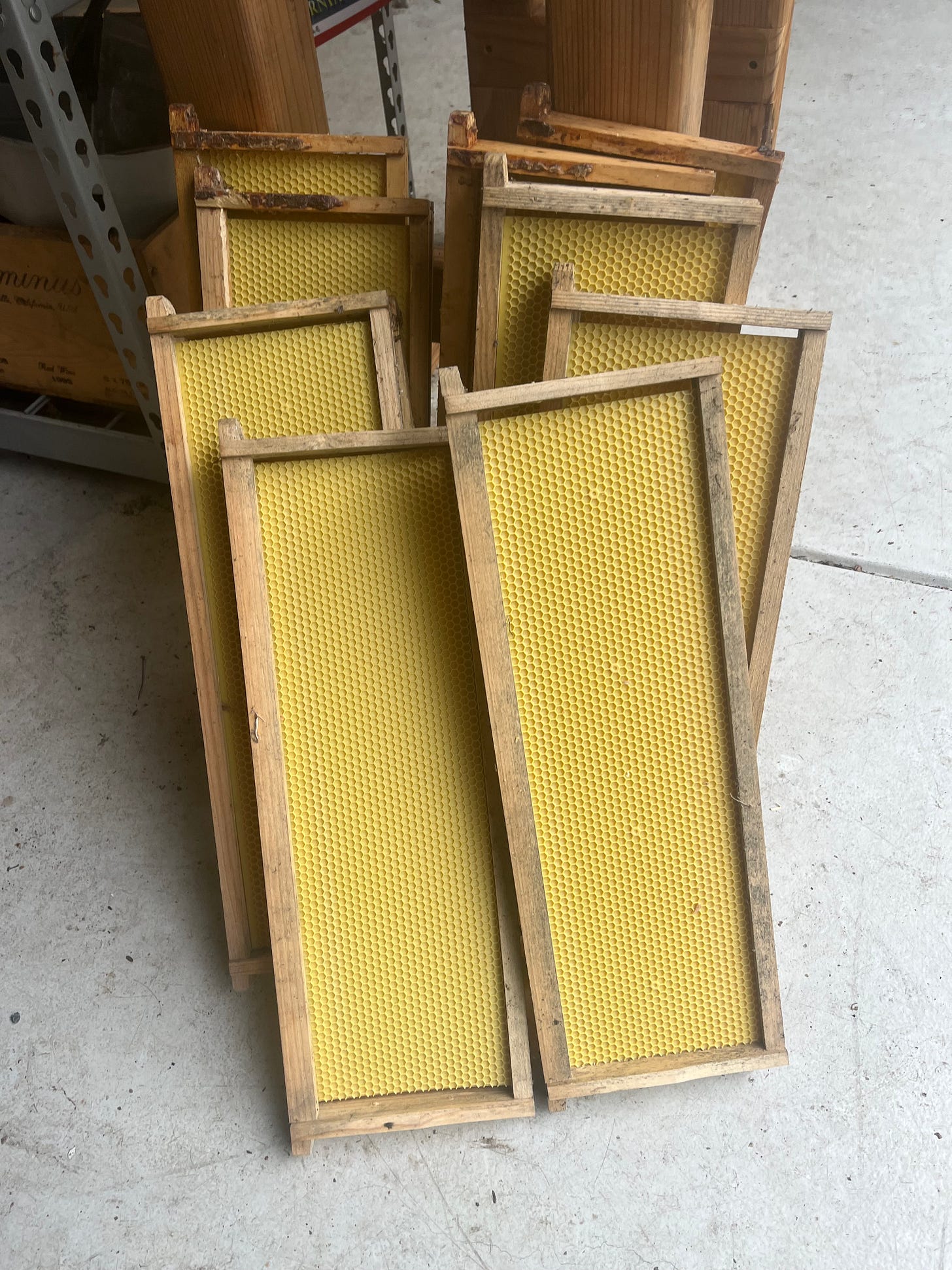 Wooden Frames holding wax hive walls.