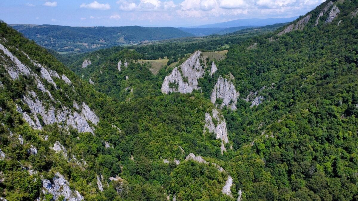 Vista aérea da Garganta do Varghis, na Romênia. A garganta é um cânion de rocha calcária cinza, com grande cobertura florestal - Foto: Herton Escobar / USP Imagens