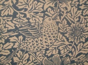 perchance birds