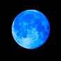 Blue Moon Cocoon's avatar