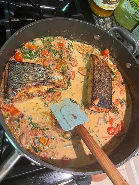 a collection of nine stewed dishes I have cooked recently