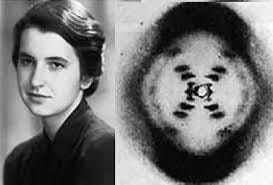 Rosalind Franklin was Part of DNA Team Rosalind Franklin was Part of DNA Team
