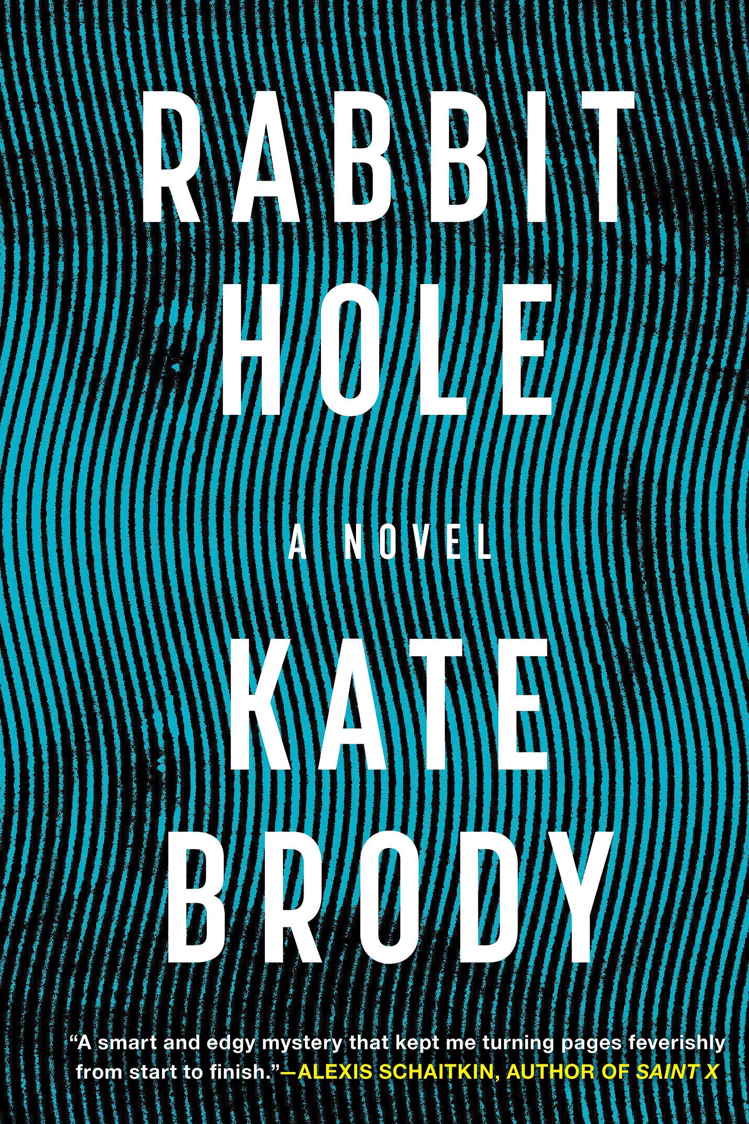 cover of Rabbit Hole, a literary thriller by Kate Brody; image of a woman's face sidways, obscured by wavy lines