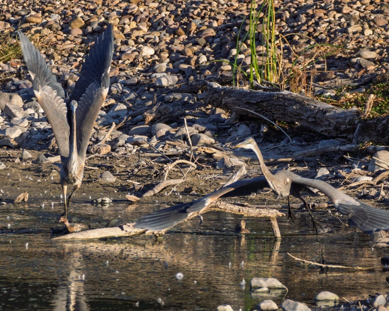 20251103-ElRio-210-Edit.jpg 20251103-ElRio-210-Edit.jpg