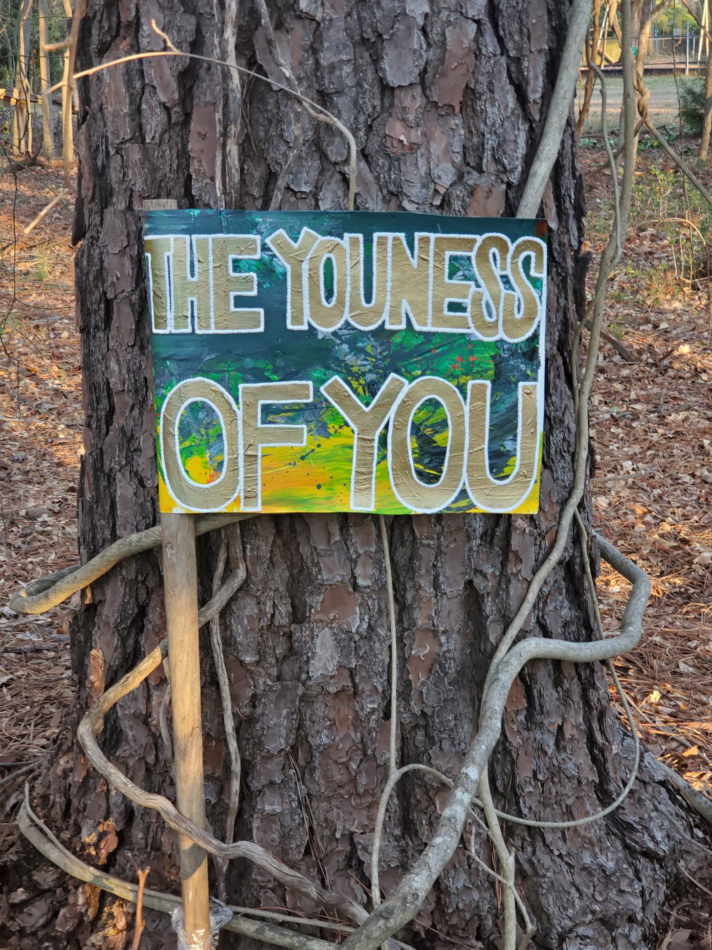 Small green and yellow painted flag that says "The Youness of You" in bold all caps letters. The flag is mounted on an old axe handle and is leaning against a medium size pine tree, with wooden vines encircling the tree. Small green and yellow painted flag that says "The Youness of You" in bold all caps letters. The flag is mounted on an old axe handle and is leaning against a medium size pine tree, with wooden vines encircling the tree.
