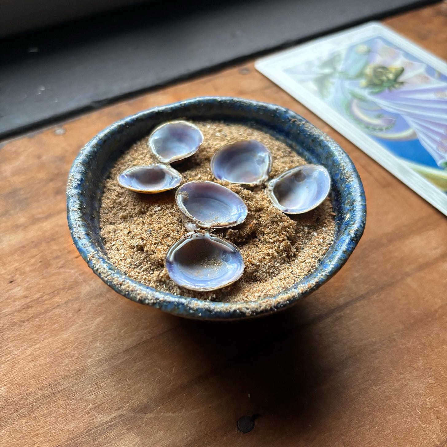 Silt and River Clam shells gathered from the banks of the French Broad River.