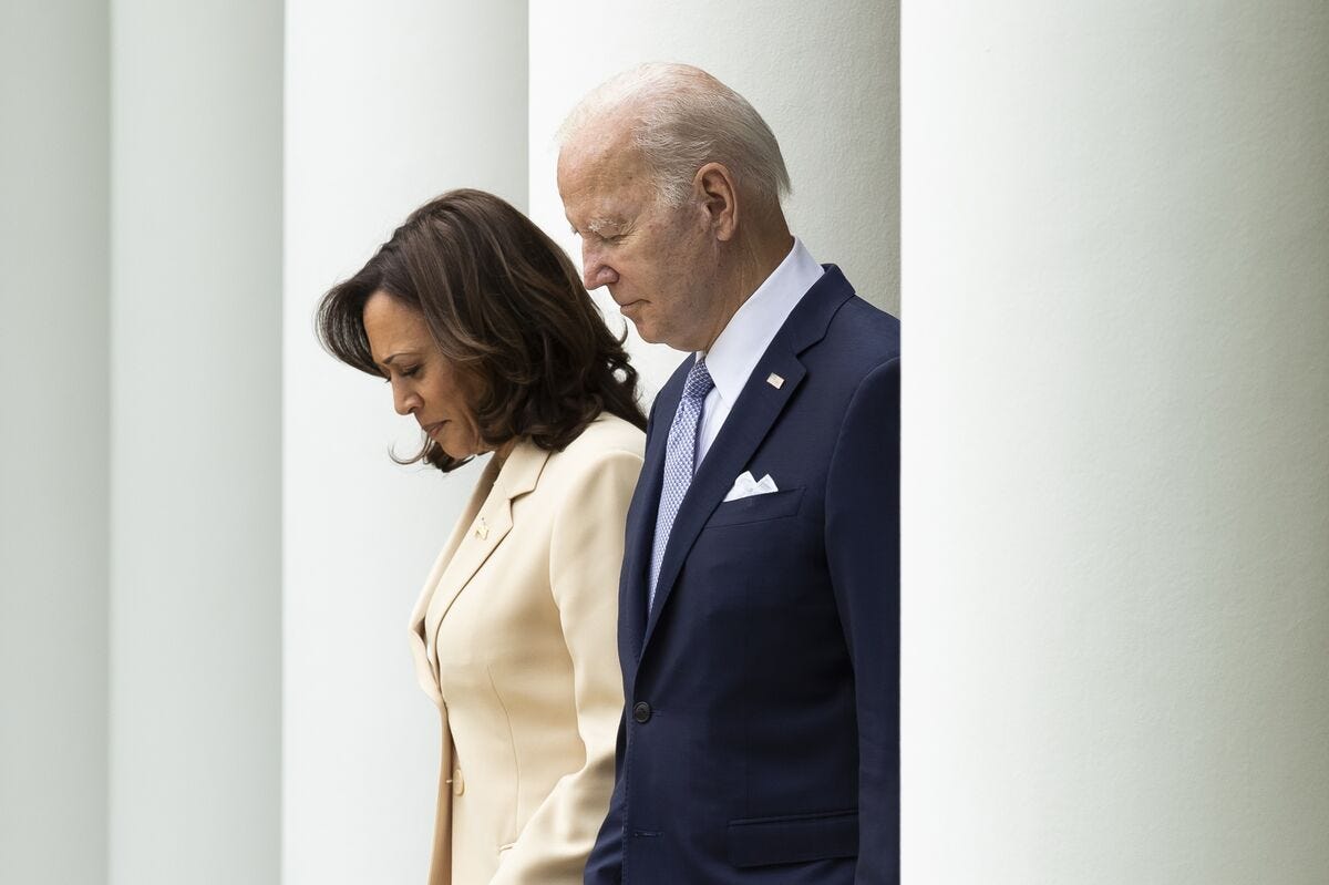 Kamala Harris Hits Stride as Biden's 2024 Election Bid Gears Up - Bloomberg
