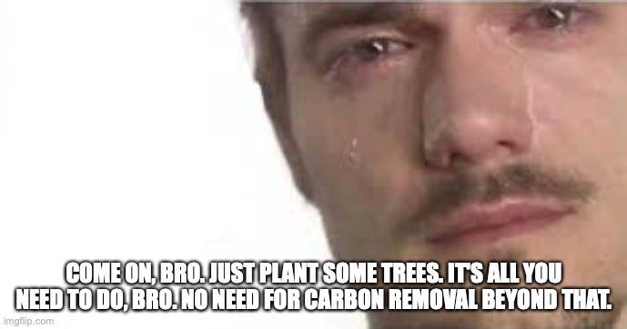 Close-up of a man with tears on his face. Caption: "COME ON, BRO. JUST PLANT SOME TREES. IT'S ALL YOU NEED TO DO, BRO. NO NEED FOR CARBON REMOVAL BEYOND THAT."
