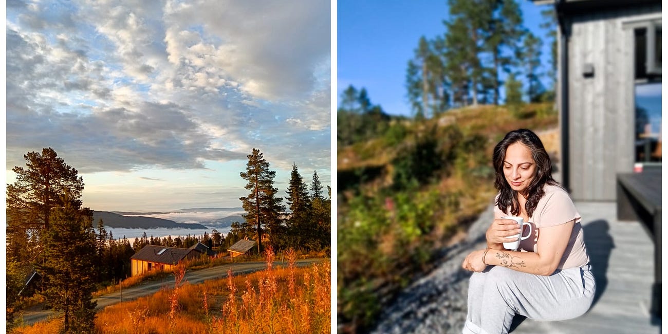 The Cabin Diaries - Day 7: You Decide Your Vibe