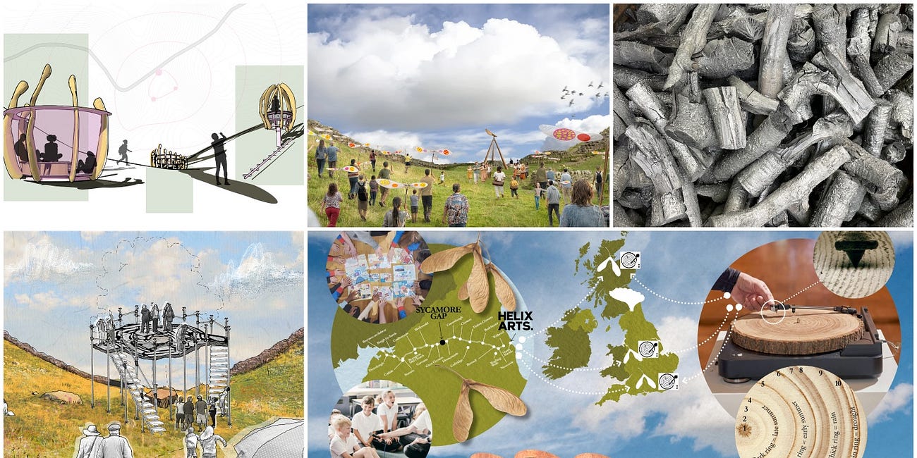 Artists shortlisted for Sycamore Gap memorial commission