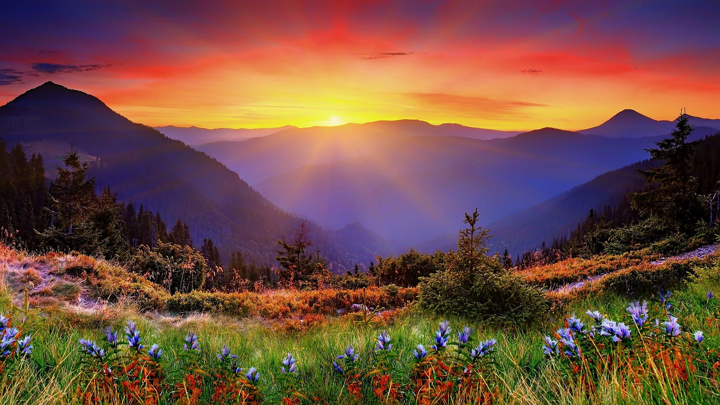 landscape, sunset, hill, nature, sunrise, evening, morning, wilderness, dusk, New Zealand, plateau, cloud, autumn, mountain, flower, dawn, grassland, meadow, wildflower, prairie, 3840x2160 px, mountainous landforms, geographical feature, mountain range