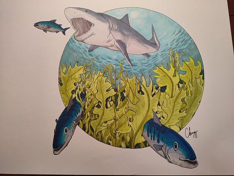 process pictures of a ink and marker drawing