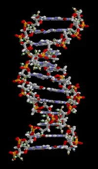 dna GIF dna GIF