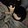 Dee Tee's avatar