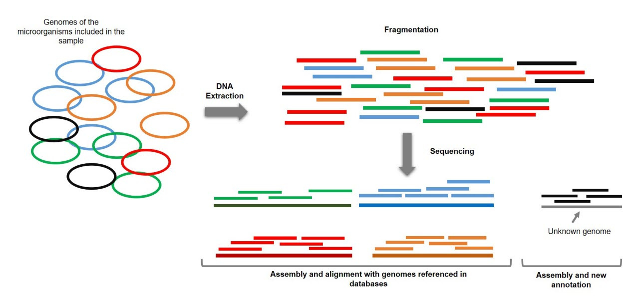 Shotgun metagenomics - France Génomique Shotgun metagenomics - France Génomique