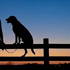 We do not have an adoption problem. We have a prevention problem.