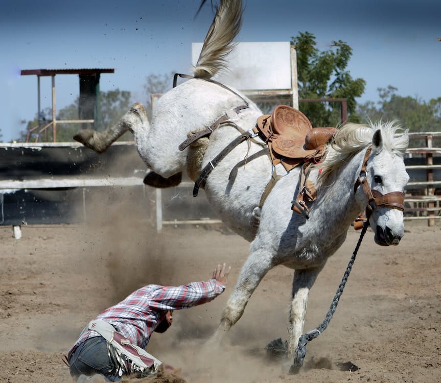 Free White Horse Kicking While Man on Ground Stock Photo