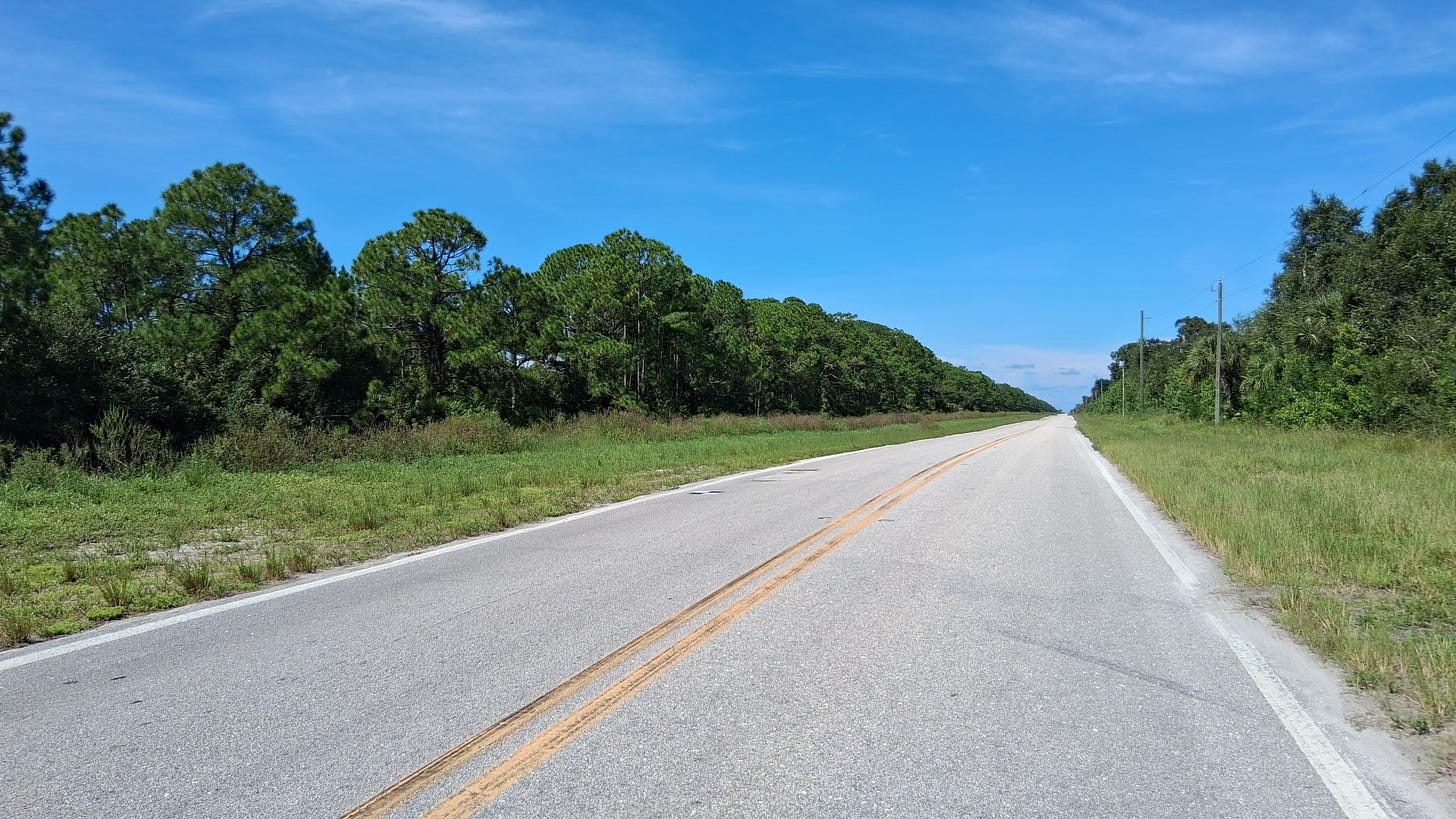 Looking west down Willowbrook Street.  2026
