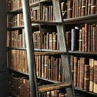 Book Recommendation Round-up – No.2