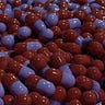 Red Medicine