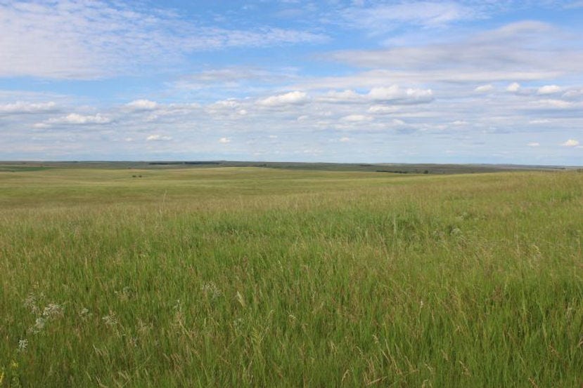 Pasture, Brown's Ranch