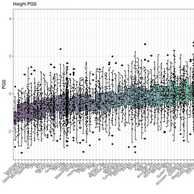 Exploring Genetic Traits Around the World with Polygenic Scores