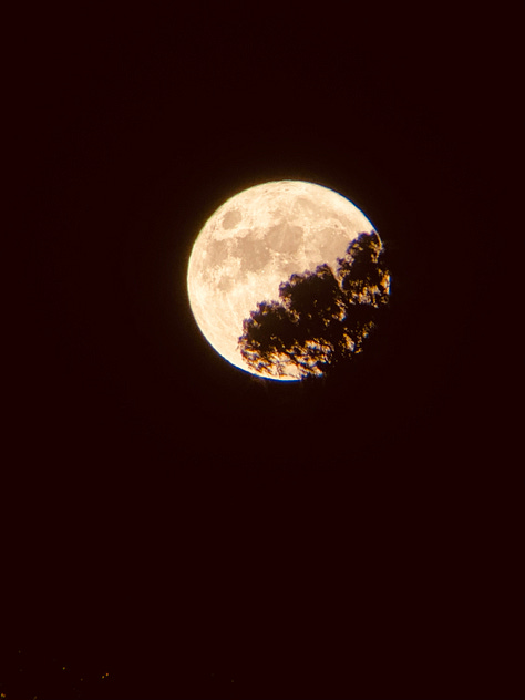iPhone 11 through Meade Telescope