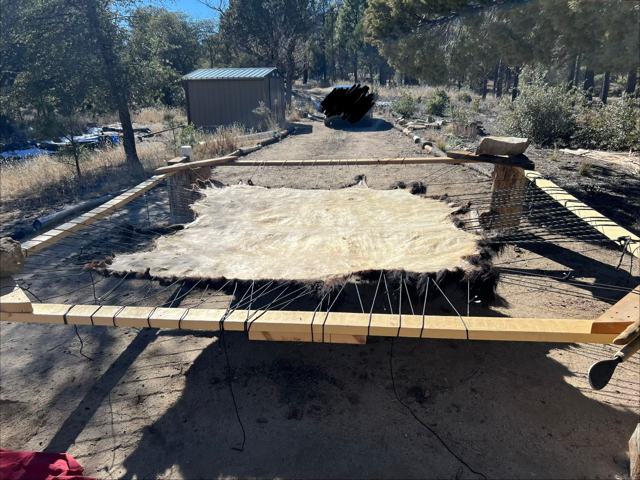 Who has time to make a bison hide? - by Frederik Gieschen