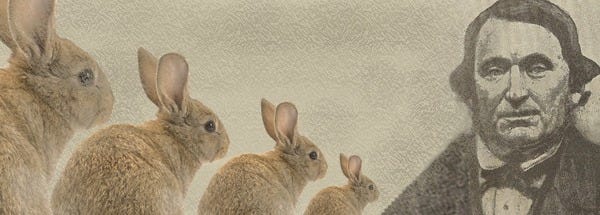 Geelong and the rabbit invasion - Intown Geelong