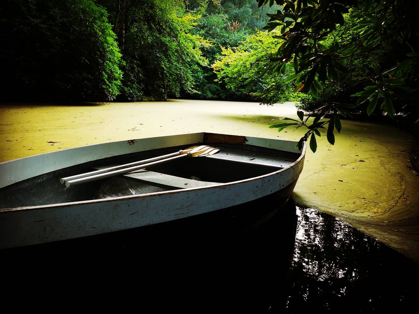 Lake in Exeter Capability Brown Gardens