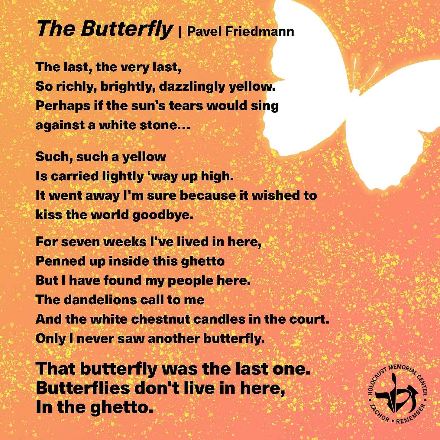 No photo description available.