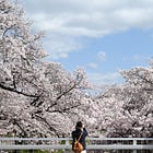 The Places Behind the Races: Japan Edition