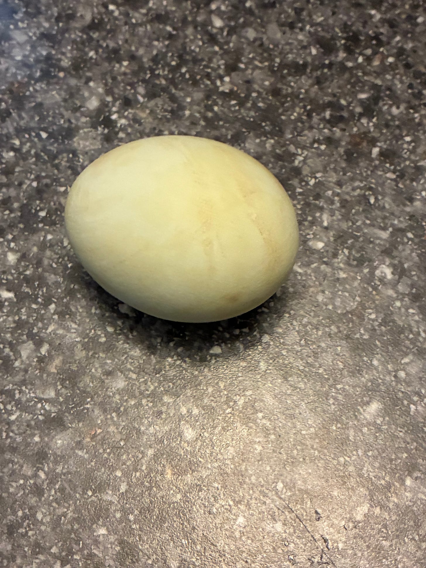 IMG_0697.jpeg