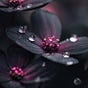 Whispers on a Dark Petal's avatar