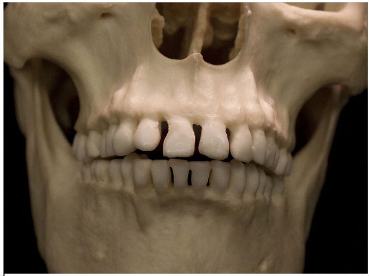 Therapies Put the Body’s Own Repair Processes to Work in Regenerating Bone