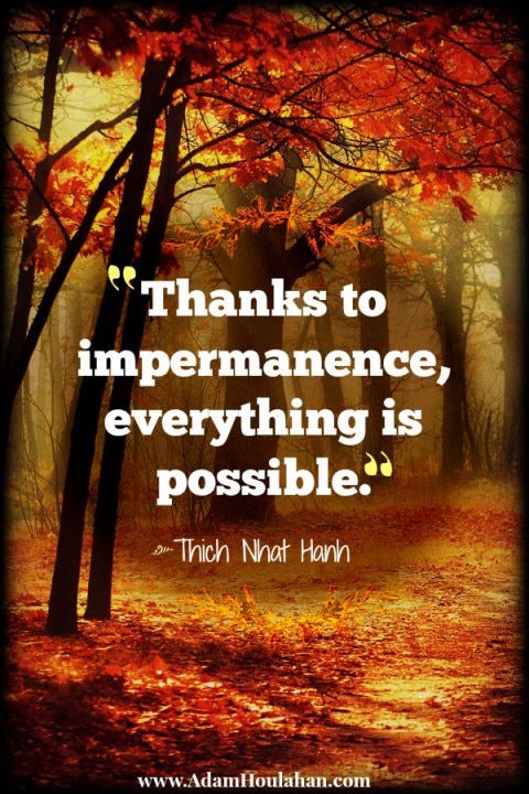 An autumn forest image with the quote "Thanks to impermanence, everything is possible," attributed to Thich Nhat Hanh.
