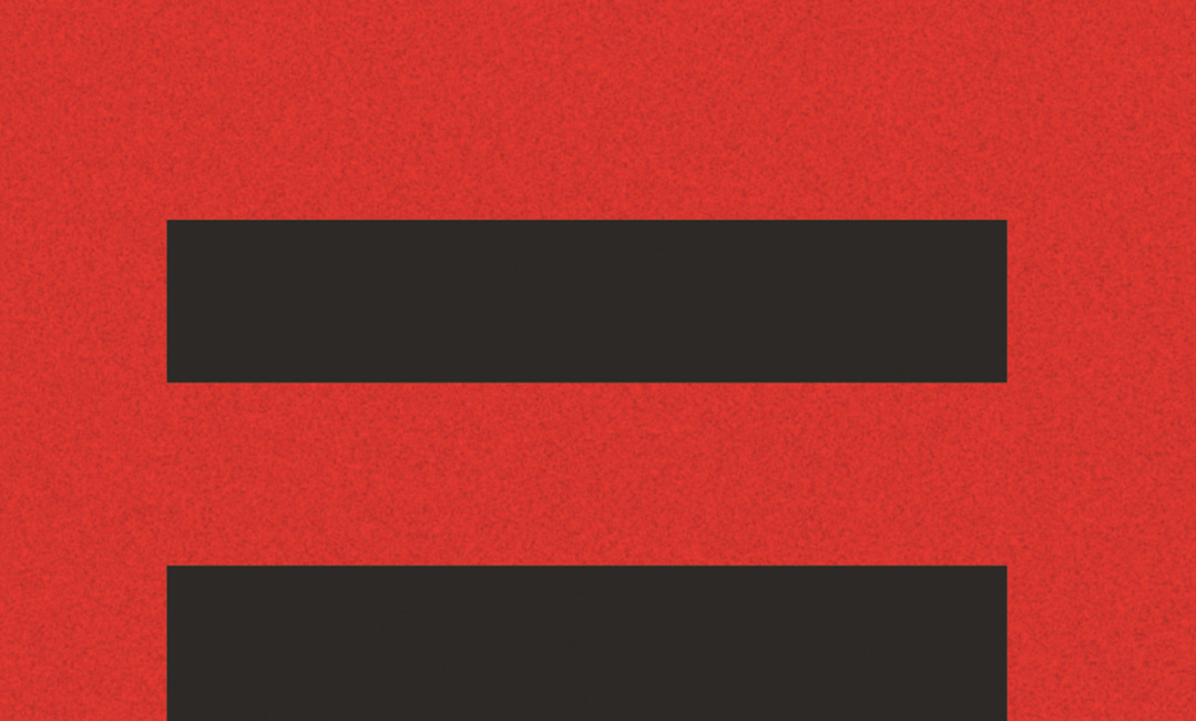 ‘The Ideology of Sameness’: A Critique of Egalitarianism