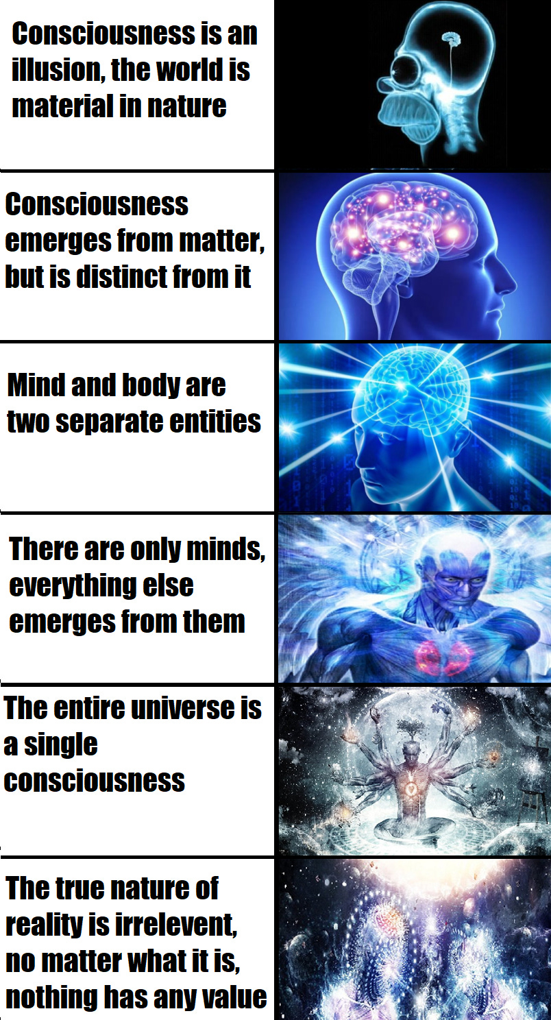 An extremely oversimplified explenation of major theories of mind :  r/PhilosophyMemes