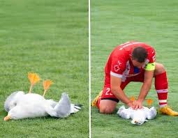 22nd minute of an amateur playoff final ...