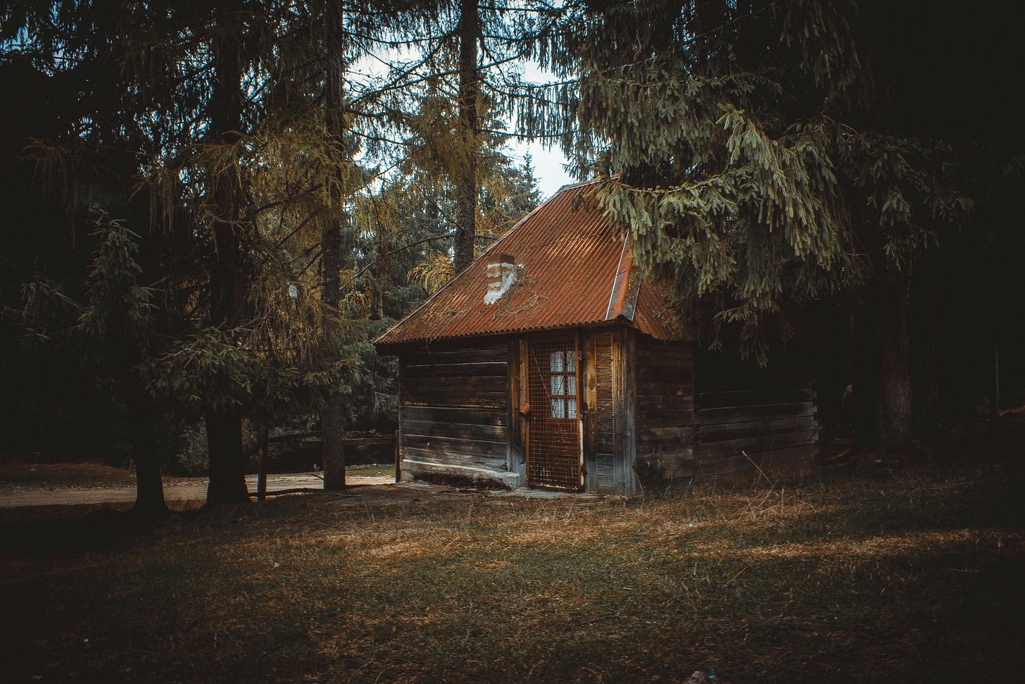 A wilderness-isolated cabin surrounded by fir trees and likely inhabited by a reclusive writer