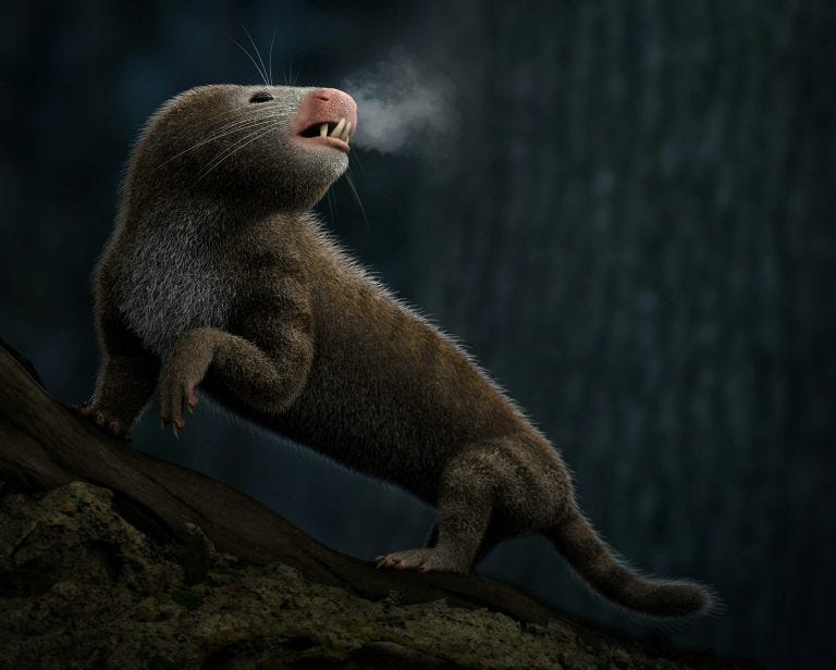 Tritylodon, un théropside, reconstitué comme un animal nocturne à sang chaud. Notez la vapeur qui sort de ses poumons. Illustré par Luzia Soares