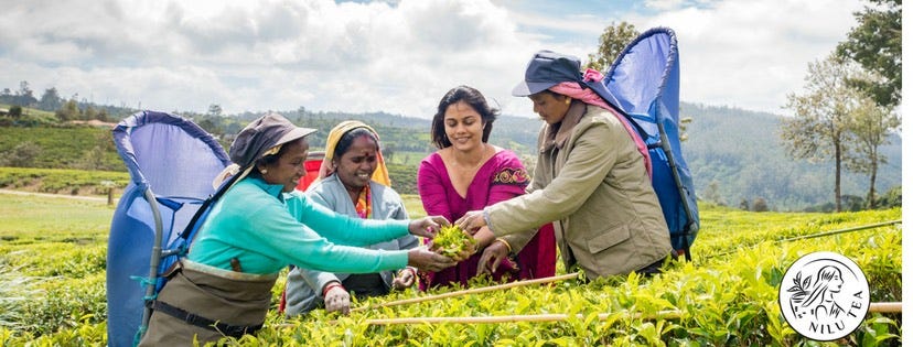 NIluTea
