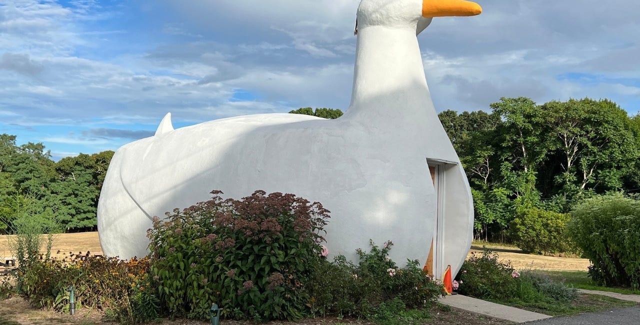 Rolando's Roadside Roundup: Big Duck Edition